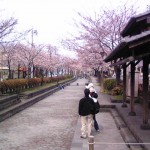曳舟川親水公園